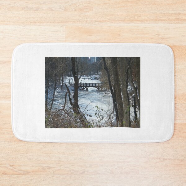 Item preview, Bridge over Snow-Covered Lake, Central Park designed and sold by lenspiro.