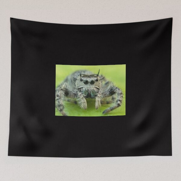 Item preview, Jumping spider designed and sold by Joe Saladino.