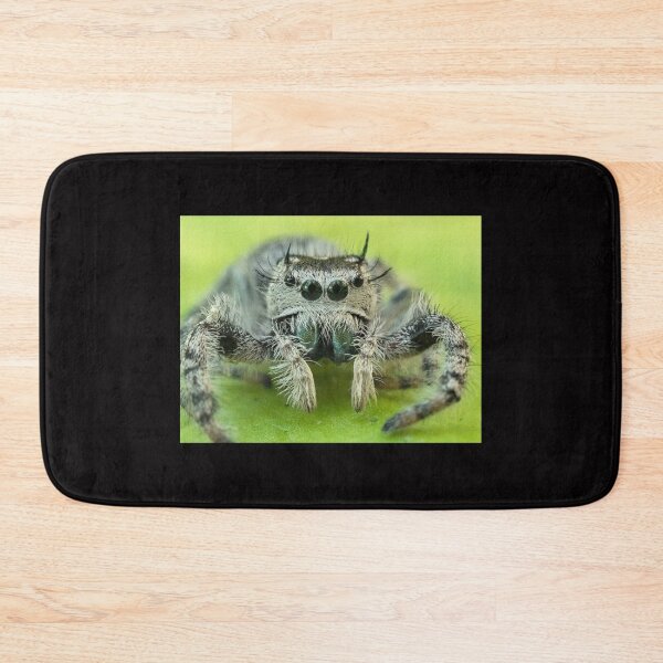 Item preview, Jumping spider designed and sold by Joe Saladino.