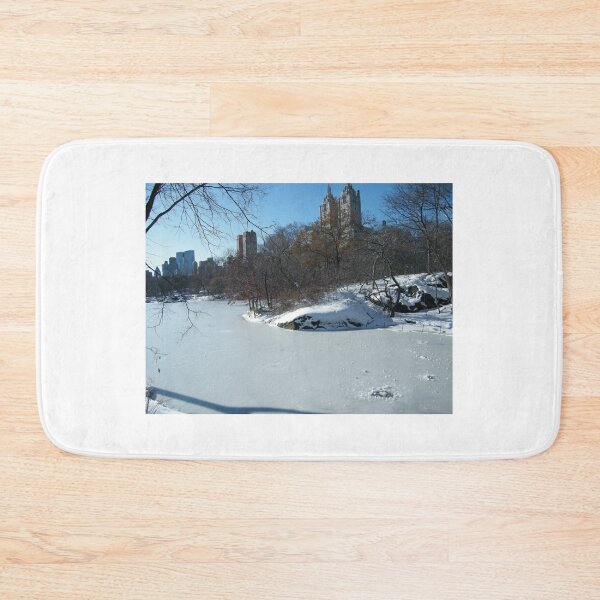Item preview, NY February Central Park, Snow View designed and sold by lenspiro.