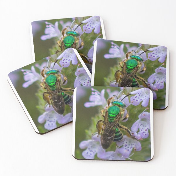 Item preview, Green Bee designed and sold by Joe Saladino.
