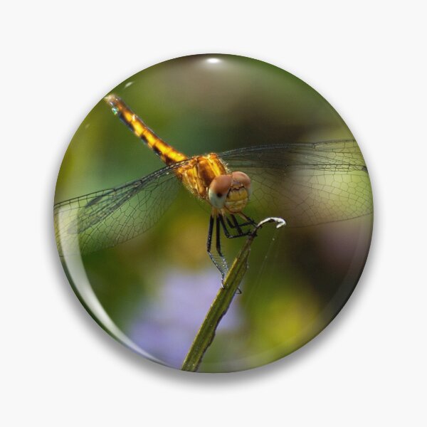 Item preview, Dragonfly designed and sold by Joe Saladino.