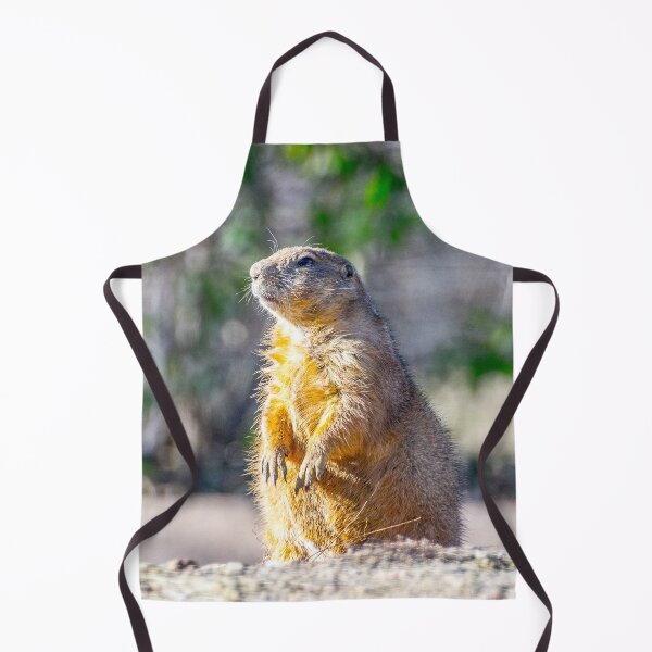 Artikelvorschau, Der gute Gopher entworfen und verkauft von Alex Tonetti Photography.