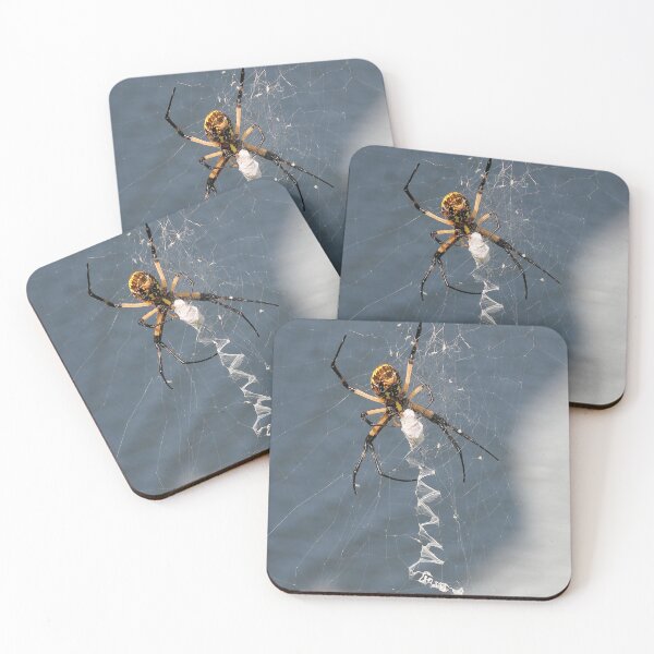Item preview, Creepy Crawly Spider designed and sold by Autumn Seas Photography.