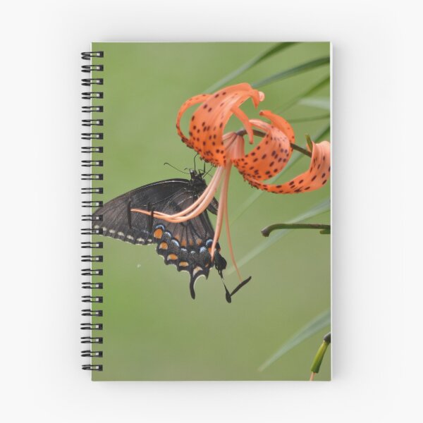 Item preview, Tiger Lily with Butterfly designed and sold by Kat's Fine Art Studio.