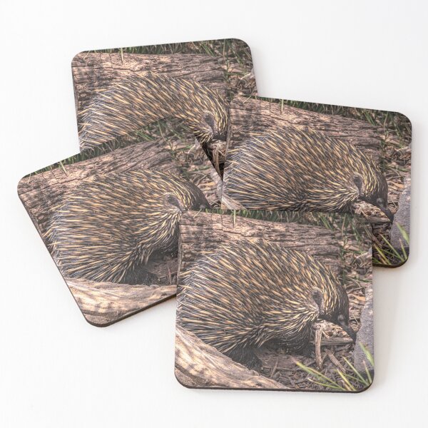Item preview, The Intrepid Echidna designed and sold by Steven Jodoin.