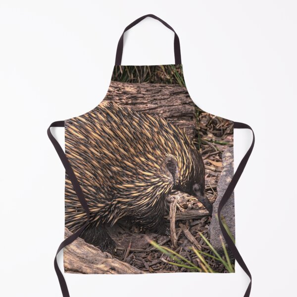 Item preview, The Intrepid Echidna designed and sold by Steven Jodoin.