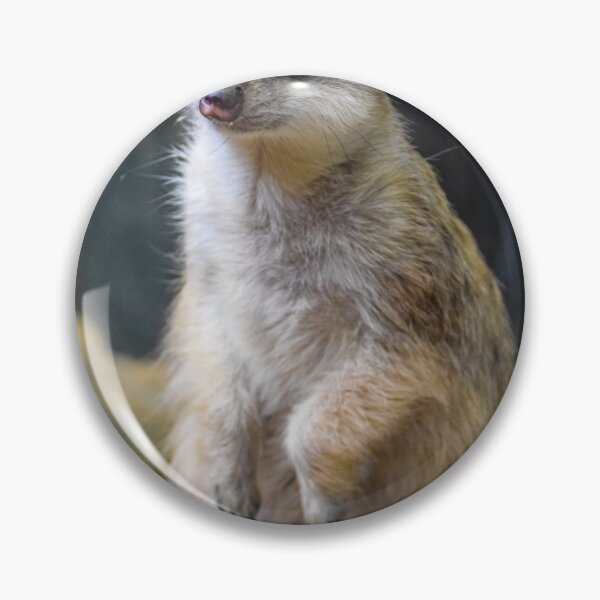 Item preview, Huh? What'd you Say?? designed and sold by Alex Tonetti Photography.