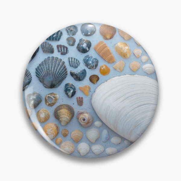 Item preview, Sally Sells Sea Shells and I bought 'em designed and sold by Alex Tonetti Photography.