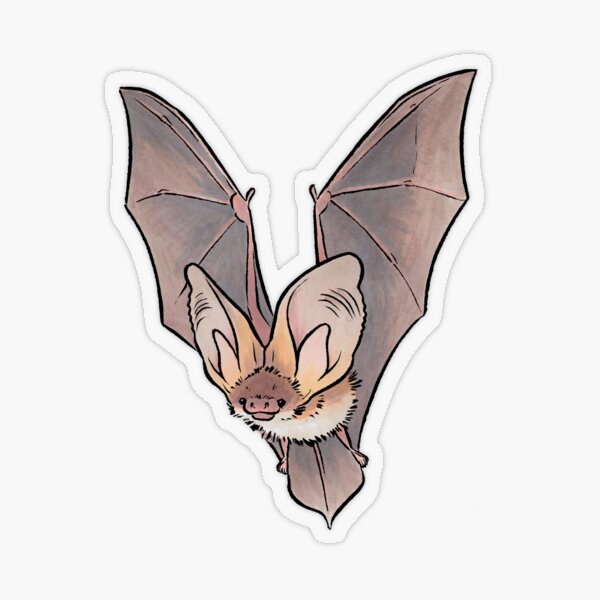 Item preview, Grey long-eared bat designed and sold by HenriekeG.