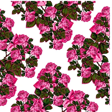 Artwork thumbnail, Pretty Pink Roses Pattern Floral Design by PlumGood