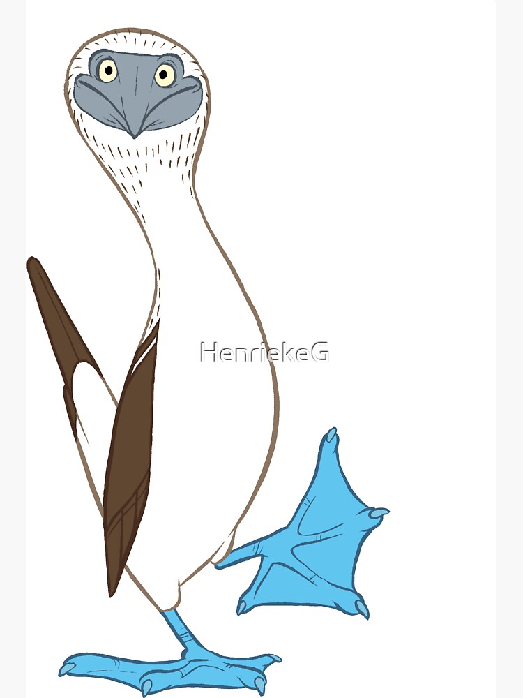 Blue-footed booby by HenriekeG