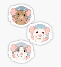 Rat stickers Sticker