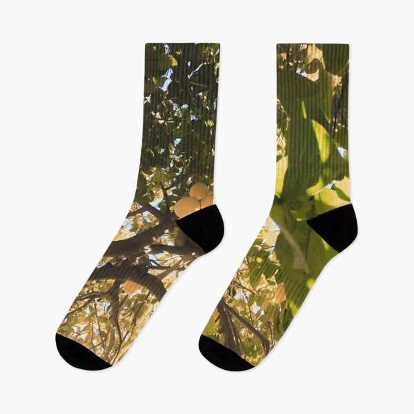 Item preview, grapefruit tree designed and sold by LifeAsGeneration Z.