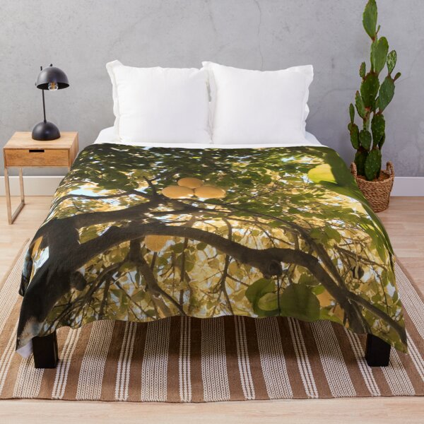 Item preview, grapefruit tree designed and sold by LifeAsGeneration Z.