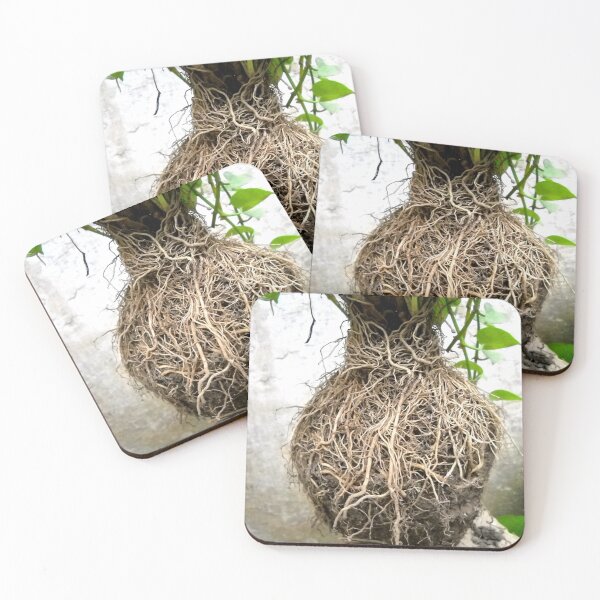 Item preview, Root-network of simple plant designed and sold by BasantSoni.