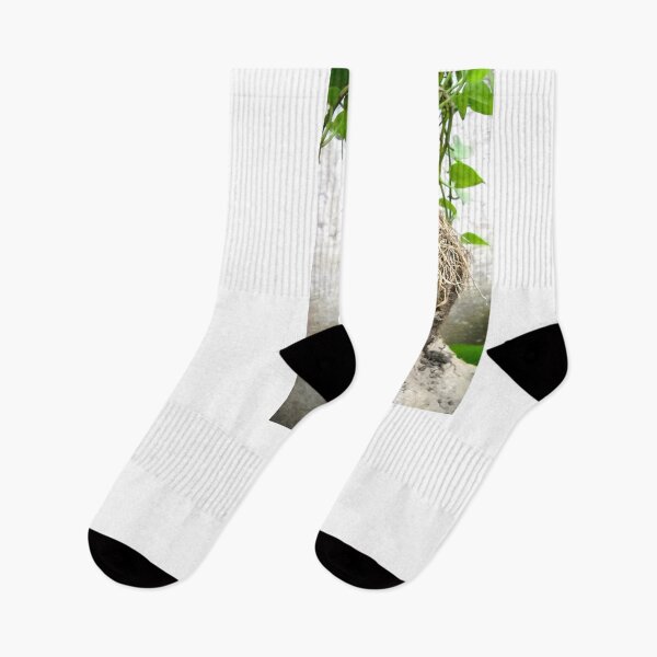 Item preview, Root-network of simple plant designed and sold by BasantSoni.