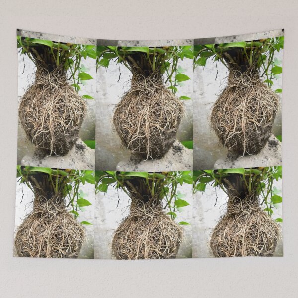 Item preview, Root-network of simple plant designed and sold by BasantSoni.