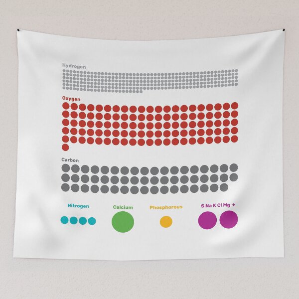 Item preview, Composition of the Human Body designed and sold by anthropocenic.