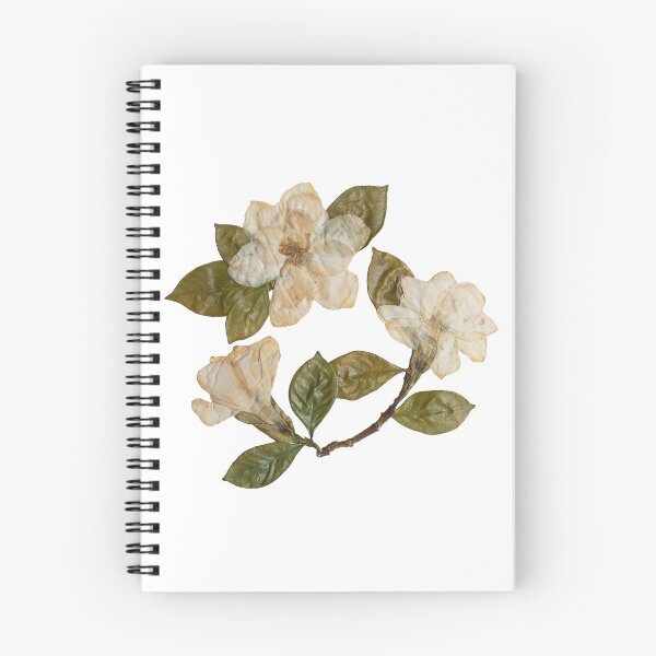 Item preview, Pressed Gardenias, Gardenia Flowers, Gardenia Art designed and sold by PressedbyHNL.