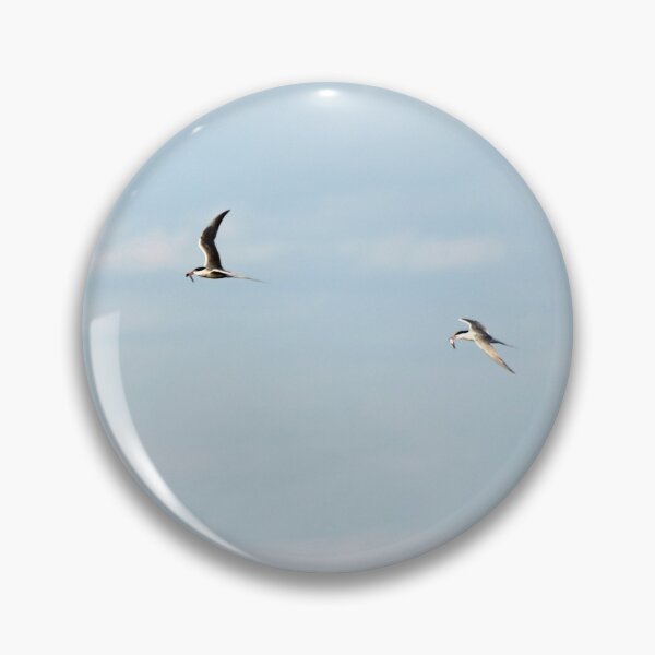Item preview, Common terns flying above lake designed and sold by olivierbradette.