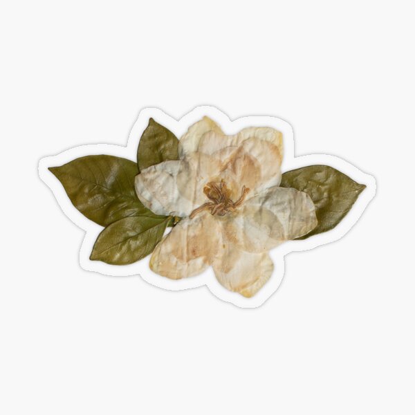 pressed flowers Sticker for Sale by crazylazygirl