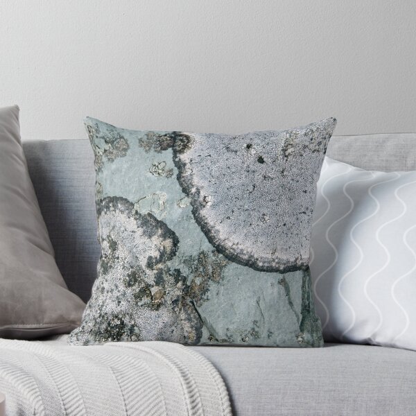 Aperçu de l'œuvre lichen créée et vendue par KathleenDawson.