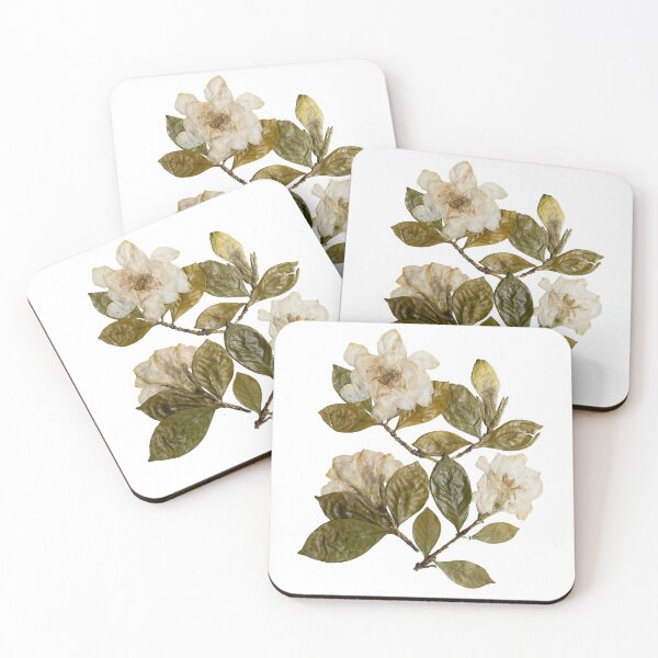 Item preview, Pressed Gardenias, Gardenia Flowers, Gardenia Art, Gardenia Collage designed and sold by PressedbyHNL.