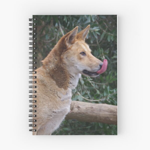 Item preview, Dingo designed and sold by lezvee.
