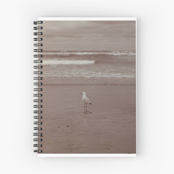 Item preview, Gaviota solitaria en Anglesea Beach 1998 designed and sold by Jason Patrick.