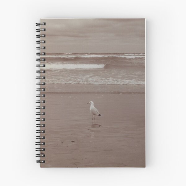 Item preview, Lone Seagull Hires Redux designed and sold by Jason Patrick.