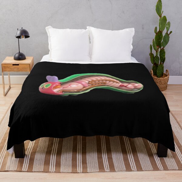 Item preview, The Hungry Caterpillar Anatomy  designed and sold by DieMind.