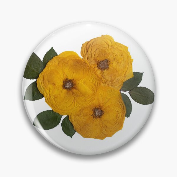 Item preview, Pressed Yellow Roses, Pressed Flowers, Roses, Triple Roses designed and sold by PressedbyHNL.