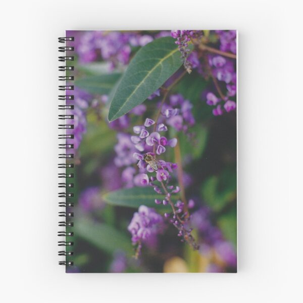 Item preview, Bee On Gum Bush Tullamarine 2000 designed and sold by Jason Patrick.