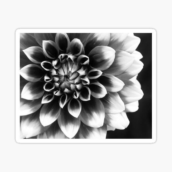Mad About You Sticker
