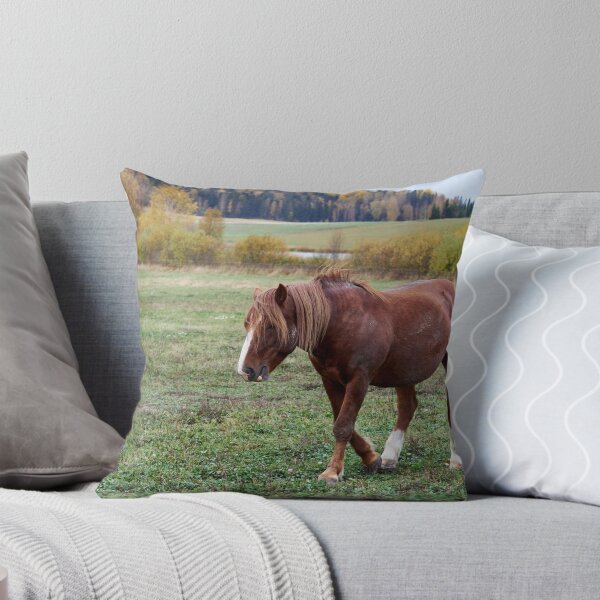 Item preview, Feeling so down today and the fall is just pushing. Horse thoughts designed and sold by Jouko Lehto Photography.