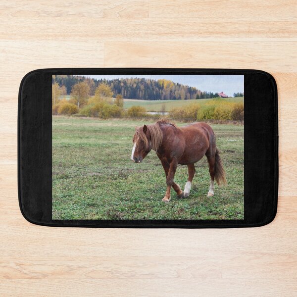 Item preview, Sintiéndome tan deprimido hoy y la caída solo empuja. Pensamientos de caballo designed and sold by Jouko Lehto Photography.