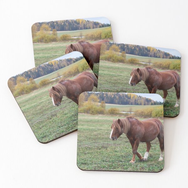 Item preview, Feeling so down today and the fall is just pushing. Horse thoughts designed and sold by Jouko Lehto Photography.