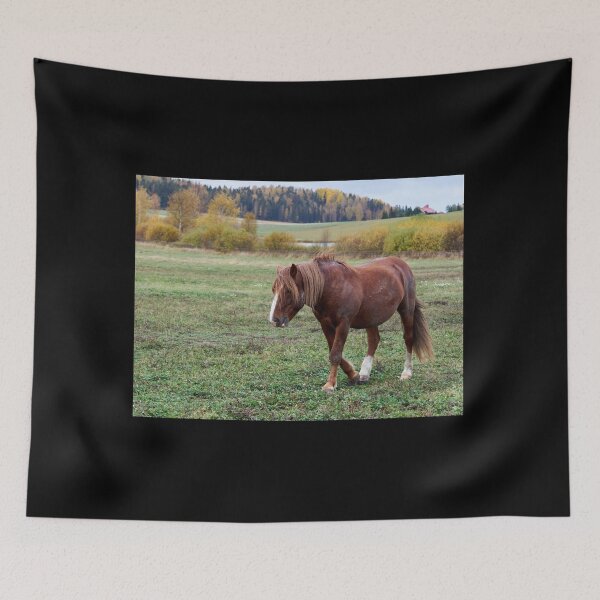 Item preview, Sintiéndome tan deprimido hoy y la caída solo empuja. Pensamientos de caballo designed and sold by Jouko Lehto Photography.