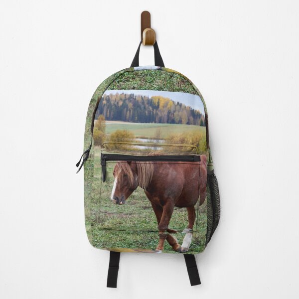 Item preview, Feeling so down today and the fall is just pushing. Horse thoughts designed and sold by Jouko Lehto Photography.