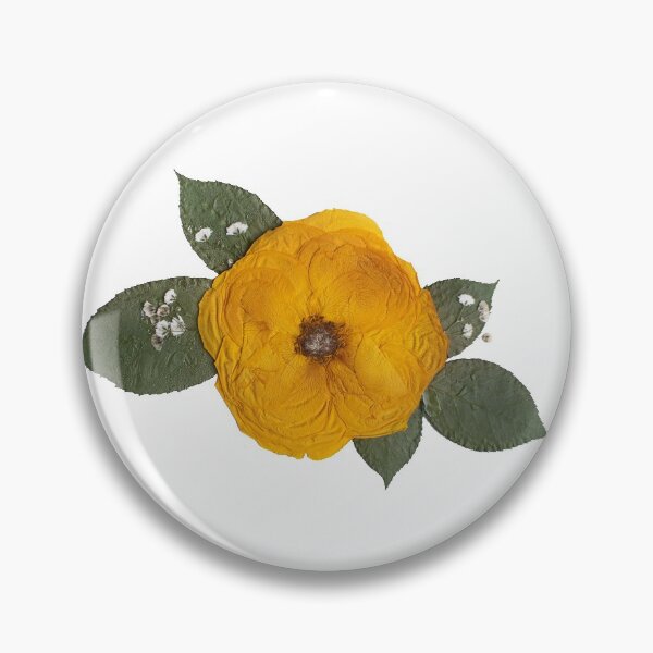 Item preview, Pressed Yellow Rose, Pressed Flowers, Roses designed and sold by PressedbyHNL.