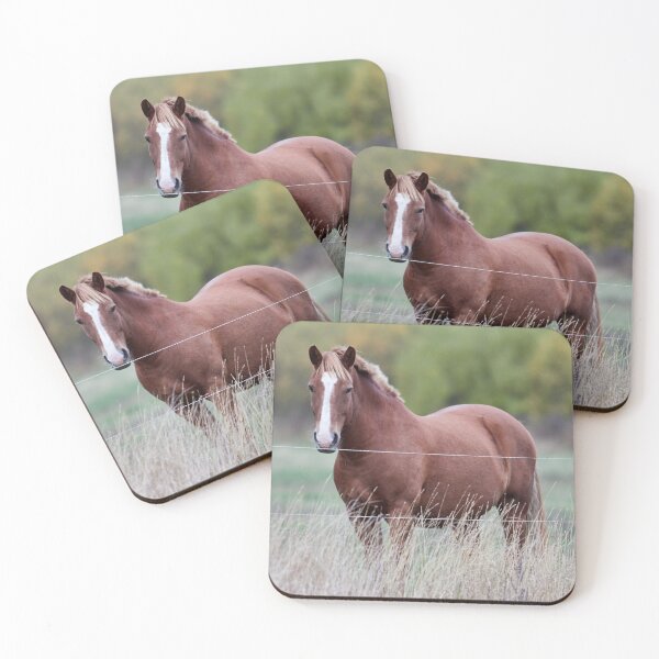 Item preview, Is it greener on the other side. Horse thoughts designed and sold by Jouko Lehto Photography.