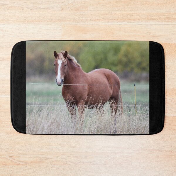 Item preview, ¿Es más verde del otro lado? Pensamientos de caballo designed and sold by Jouko Lehto Photography.