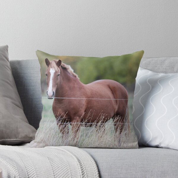 Item preview, Is it greener on the other side. Horse thoughts designed and sold by Jouko Lehto Photography.