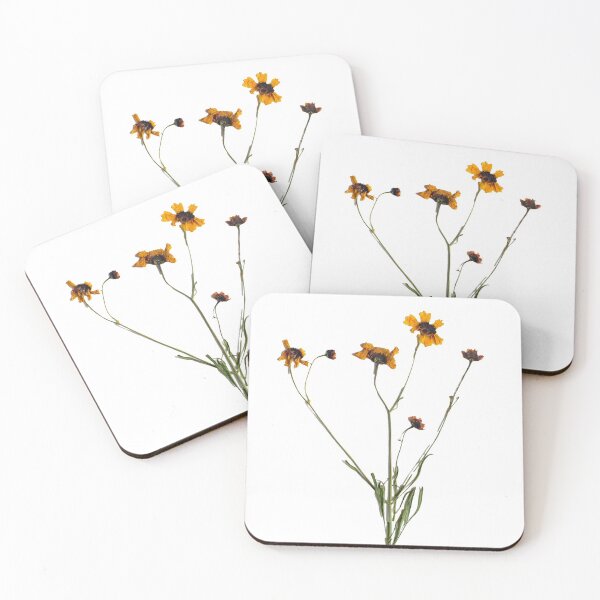 Item preview, Pressed Yellow Wildflowers, Pressed Flowers, Wild Flower Art designed and sold by PressedbyHNL.