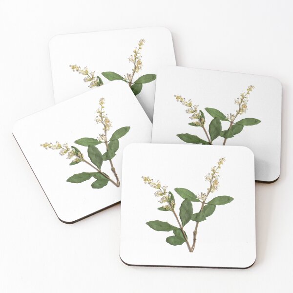 Item preview, Pressed White Wildflowers, Pressed Flowers, Wild Flower Art designed and sold by PressedbyHNL.