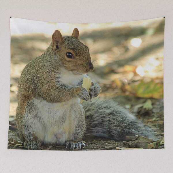 Item preview, squirrel designed and sold by Astralia.