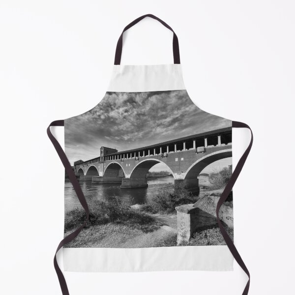 Item preview, Pavia Ponte coperto designed and sold by pietrofoto.