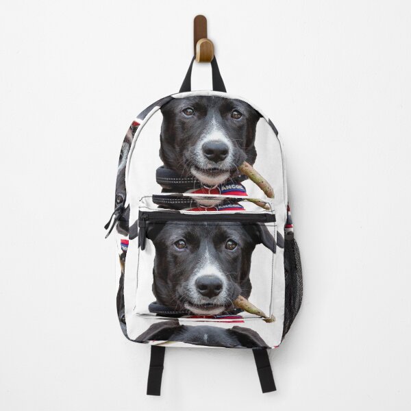 Item preview, Dog with her stick looking at Camera designed and sold by Dalyndigital Photography.