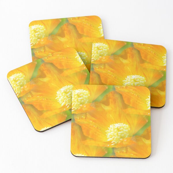 Artikelvorschau, Orange Mohn Design entworfen und verkauft von Malcolm Snook.
